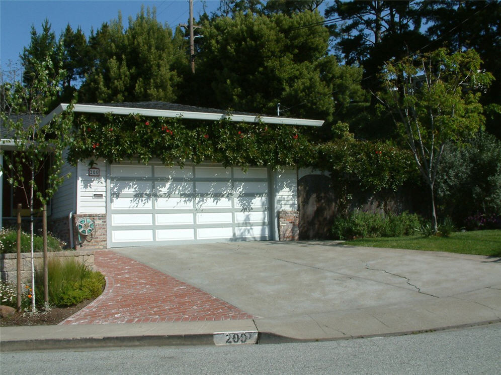 Vining Over Garage Door